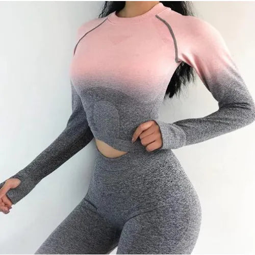 Luna Seamless Ombre Sleeved Crop - Grey Pink